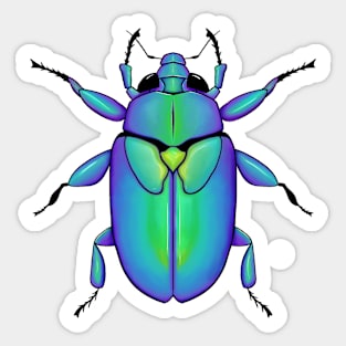 Beetle Sticker